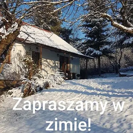 Ranczo Dziki Sad Villa Raciechowice Exterior photo