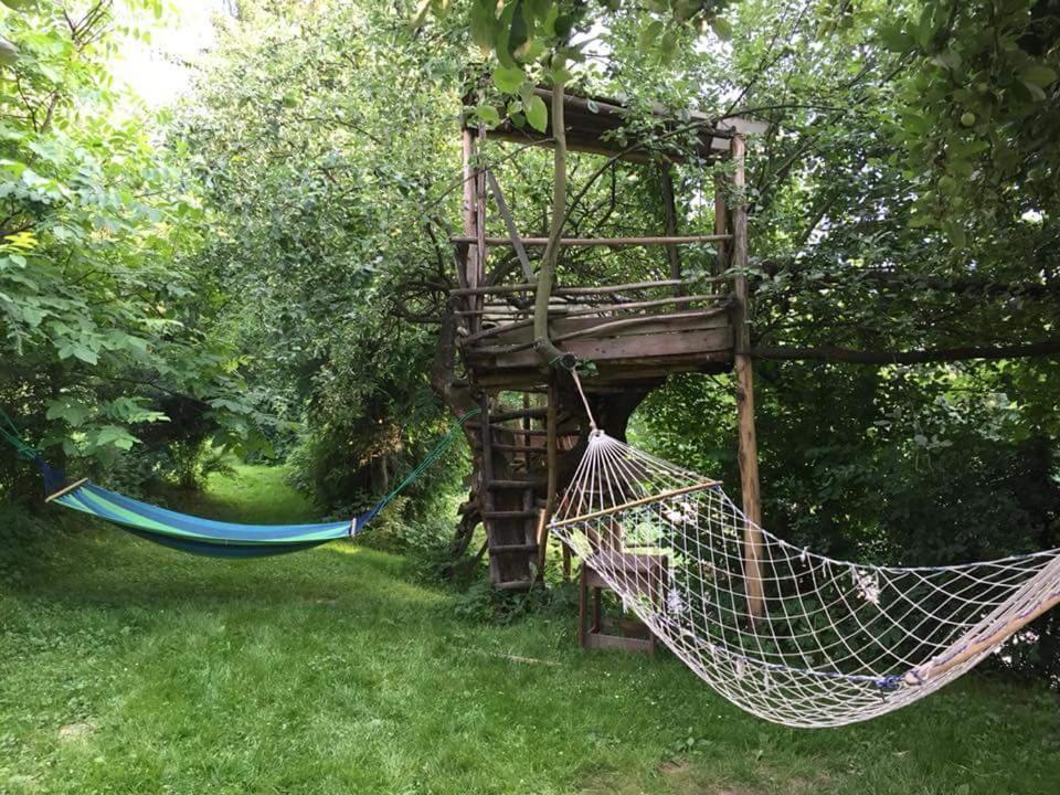 Lodge Ranczo Dziki Sad