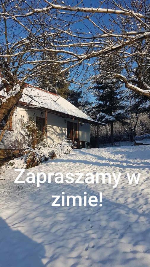 Ranczo Dziki Sad Raciechowice
